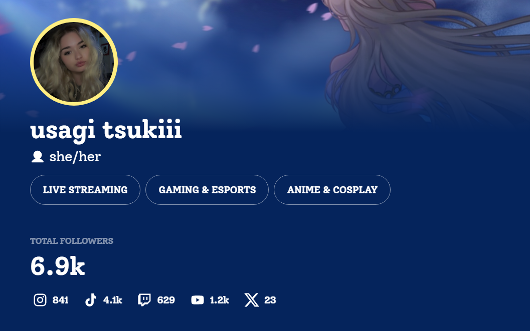 Media Kit Banner